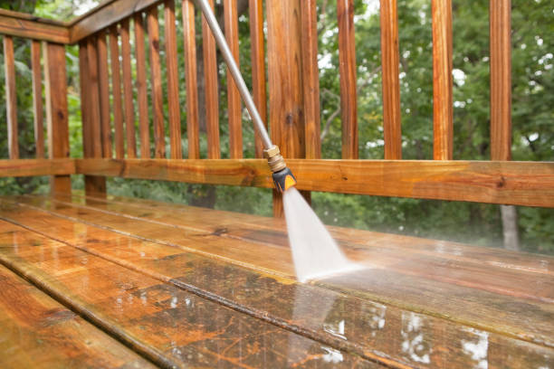 Animal Enclosure Cleaning in North Beach, MD